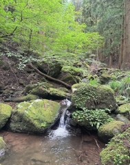 松尾4