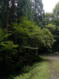 松尾5
